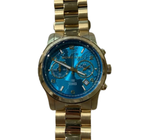 MICHAEL KORS マイケルコース 100 Series “Hunger Stop” Watch 時計 SS MK5815ブルーの買取実績