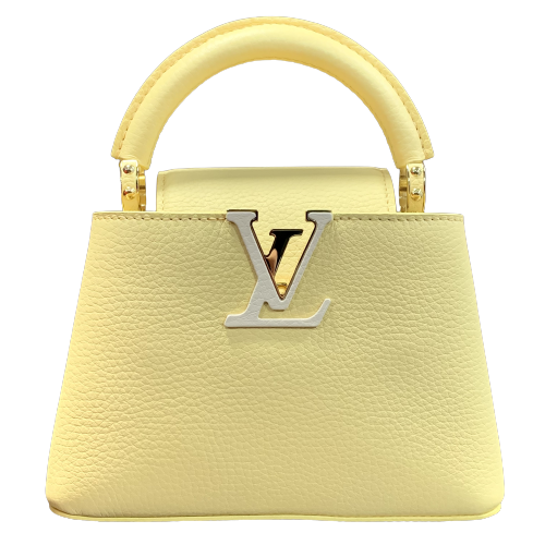 レザー皮革の種類Louis Vuitton-ポルトフォイユ カプシーヌ イエロー