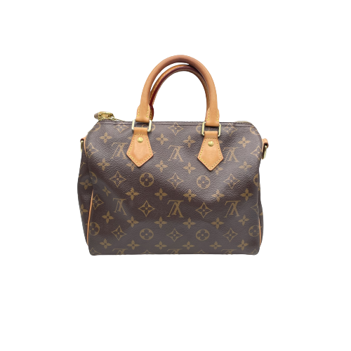 LOUIS VUITTON ルイ・ヴィトン スピーディ25 バッグ モノグラム M41113