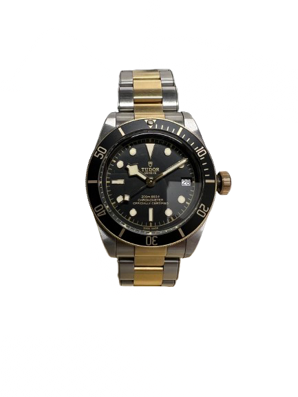 その他のブランド その他のブランド TUDOR ヘリテージブラックベイ 時計 79733Nの買取実績