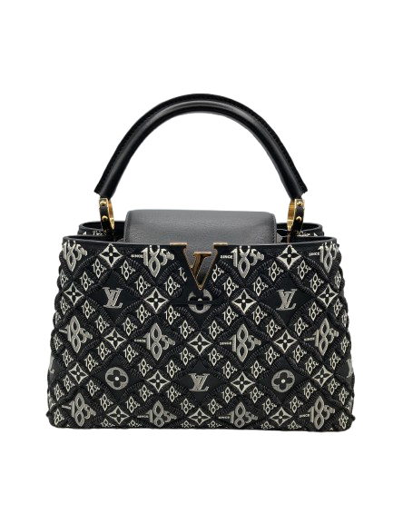 LOUIS VUITTON ルイ・ヴィトン カプシーヌPM バッグ Since1854 M57358の買取実績