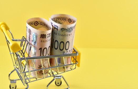 ショッピングカートに入った日本円の紙幣
