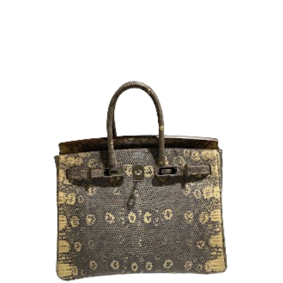 HERMES エルメス バーキン25 バッグ リザード オンブレの買取実績